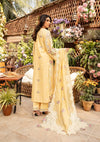 Beautifully designed EMBROIDERED COTTON NET PATCHED DUPATTA.